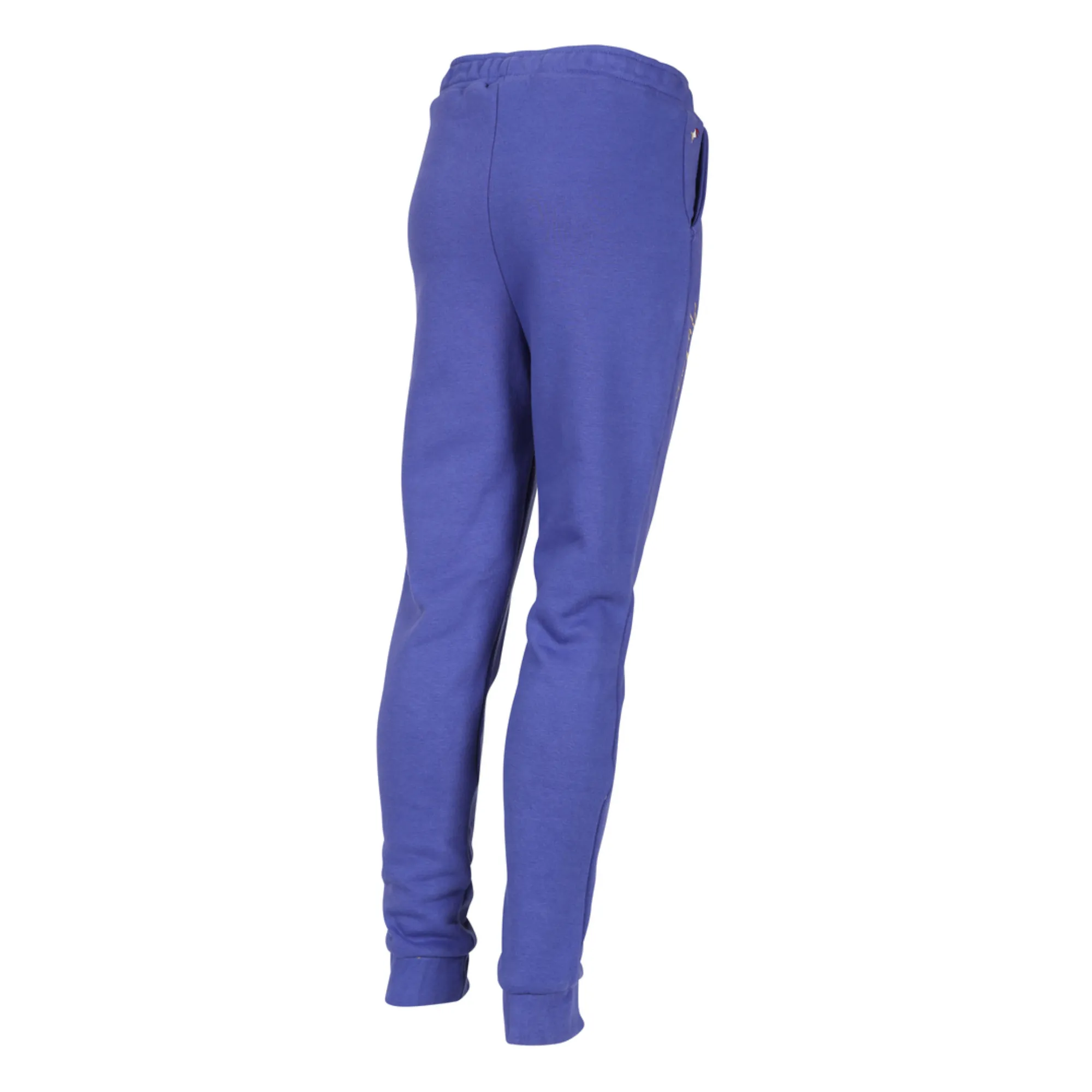Aubrion Young Rider Team Joggers - Blue